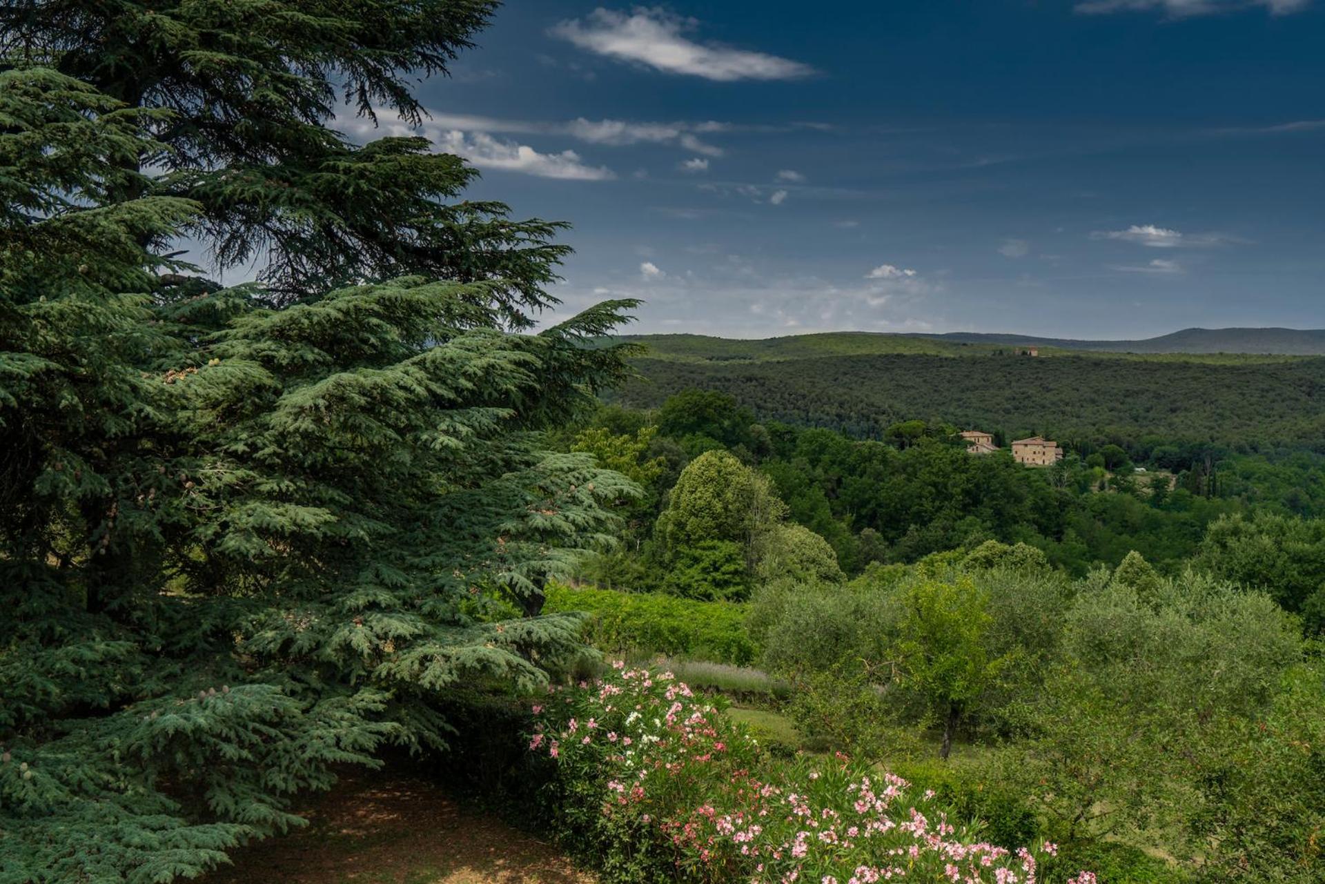 Borgo Villa Certano - Case Vacanza In Toscana Σιένα Εξωτερικό φωτογραφία