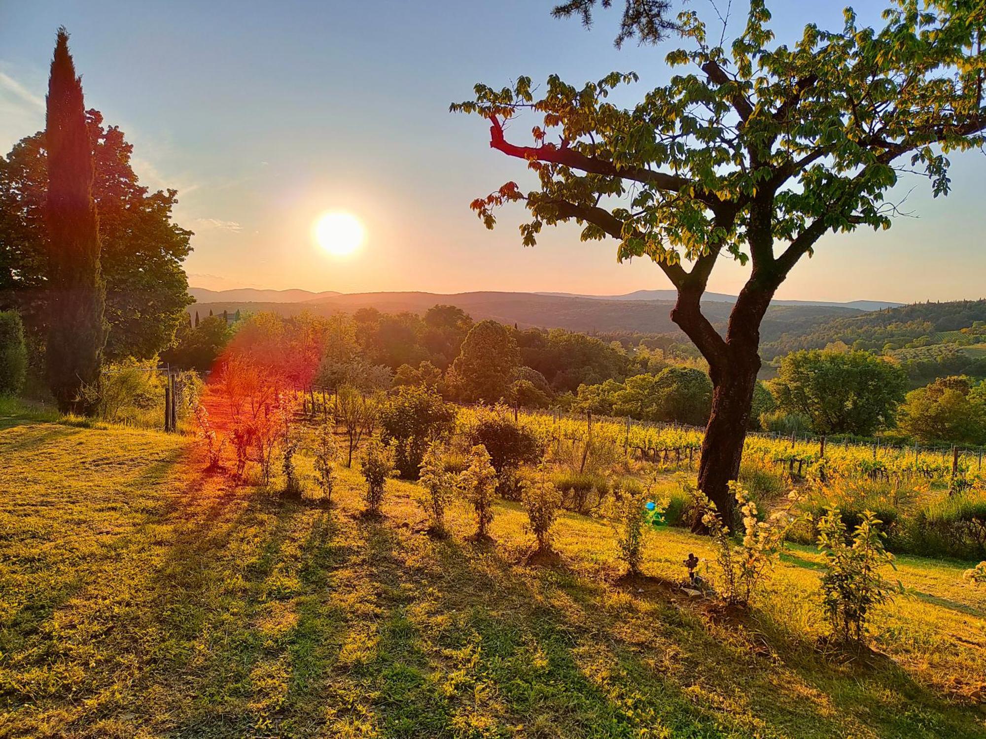 Borgo Villa Certano - Case Vacanza In Toscana Σιένα Εξωτερικό φωτογραφία