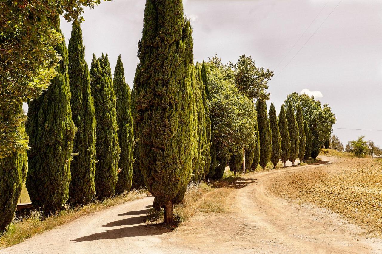 Borgo Villa Certano - Case Vacanza In Toscana Σιένα Εξωτερικό φωτογραφία